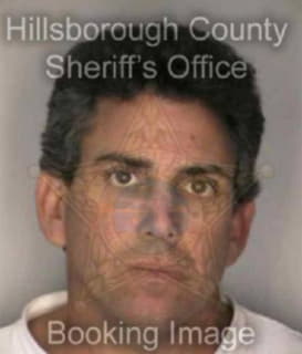 Diaz Dean - Hillsborough County, Florida 