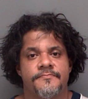 Miller Dewayne - Pinellas County, Florida 