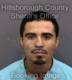 Pena Miguel - Hillsborough County, Florida 