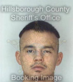 Mclendon Robert - Hillsborough County, Florida 