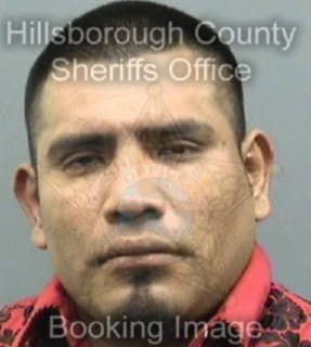 Diaz Romeo - Hillsborough County, Florida 