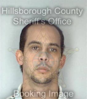 Hernandez Boris - Hillsborough County, Florida 