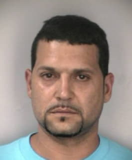 Mojica Rafael - Hillsborough County, Florida 