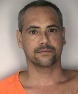 Domenech Carlos - Hillsborough County, Florida 