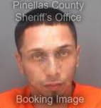 Dejesus Michael - Pinellas County, Florida 