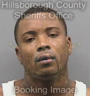 Lowe Andree - Hillsborough County, Florida 