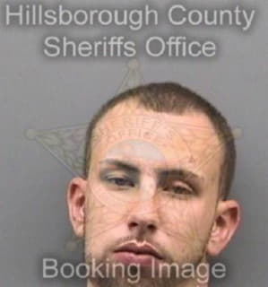 Defranco Anthony - Hillsborough County, Florida 