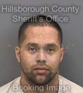 Perez-Rodriguez Bryan - Hillsborough County, Florida 