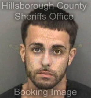 Perez Daniel - Hillsborough County, Florida 