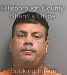 Rosalopez Ernesto - Hillsborough County, Florida 