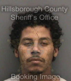 Robinson Jason - Hillsborough County, Florida 