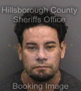 Carmonarodriguez Juan - Hillsborough County, Florida 