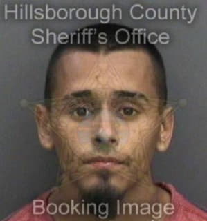 Ramirez Manuel - Hillsborough County, Florida 