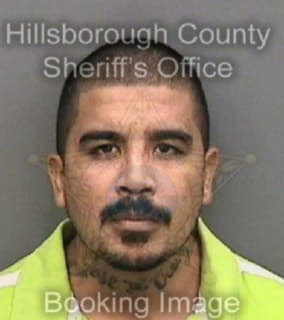 Cruz Jose - Hillsborough County, Florida 