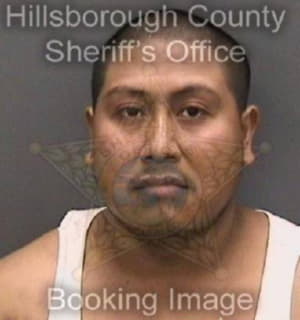 Pena Gabriel - Hillsborough County, Florida 