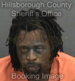 Bradford Henry - Hillsborough County, Florida 