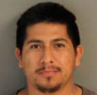 Delarosa Luis - Shelby County, Tennessee 