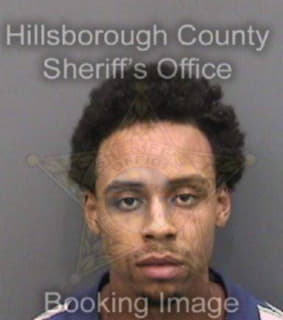 Ford Sean - Hillsborough County, Florida 