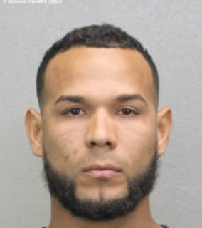 Colladosilverio Ismael - Broward County, Florida 