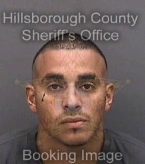 Rodriguez Alejandro - Hillsborough County, Florida 