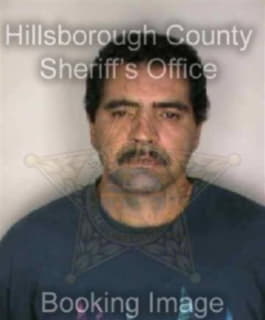 Devalle Arnaldo - Hillsborough County, Florida 