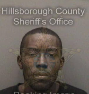 Davis David - Hillsborough County, Florida 