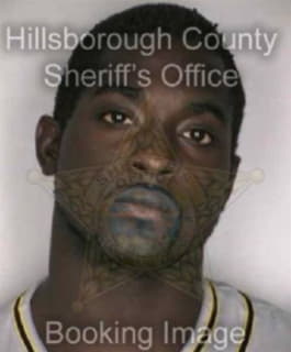 Wilson Henry - Hillsborough County, Florida 