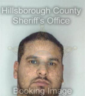 Rodriguez Ismael - Hillsborough County, Florida 