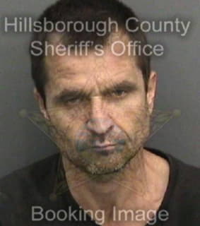 Mckerley Michael - Hillsborough County, Florida 