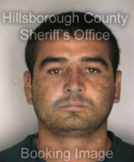 Juarez Jose - Hillsborough County, Florida 