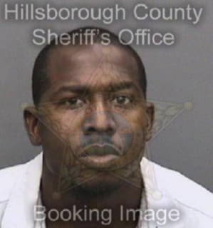 Mcgee Joshua - Hillsborough County, Florida 