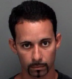 Hernandez Julio - Pinellas County, Florida 