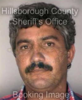 Romero Luis - Hillsborough County, Florida 