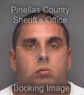 Anastasio Anthony - Pinellas County, Florida 