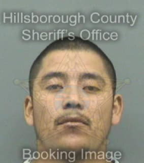 Castro Armando - Hillsborough County, Florida 