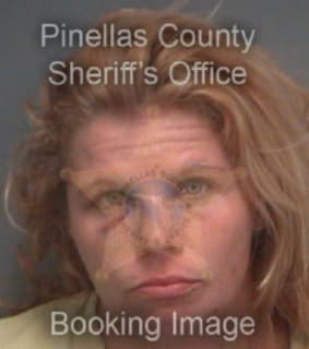 Mcgregor Christina - Pinellas County, Florida 