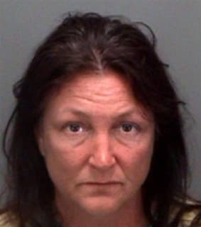 Greenfield Marri - Pinellas County, Florida 