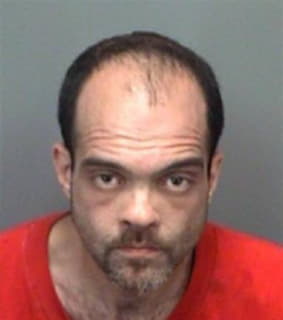 Andrews James - Pinellas County, Florida 