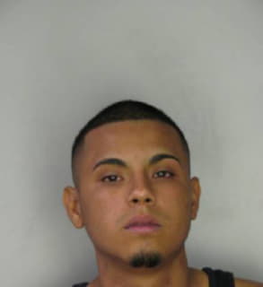 Benito Ricardo - Hillsborough County, Florida 