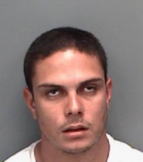 Burgess David - Pinellas County, Florida 