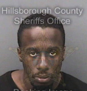 Maxwell Gregory - Hillsborough County, Florida 