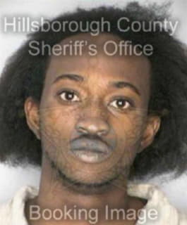 Miller Christopher - Hillsborough County, Florida 