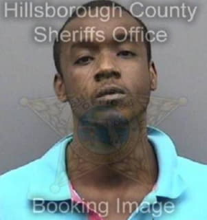 Johnson Doyle - Hillsborough County, Florida 