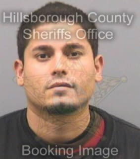 Deluna Herman - Hillsborough County, Florida 