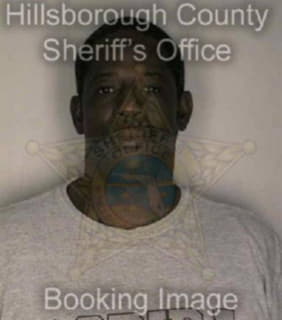 Johnson James - Hillsborough County, Florida 