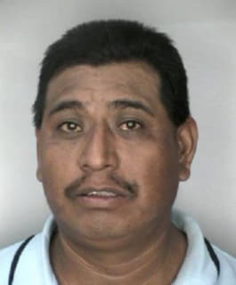 Delacruz Jesus - Hillsborough County, Florida 