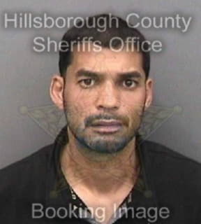 Lopez Luis - Hillsborough County, Florida 