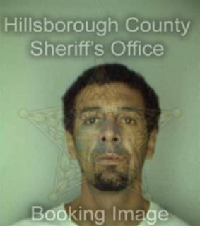 Defigueredo Romaldo - Hillsborough County, Florida 