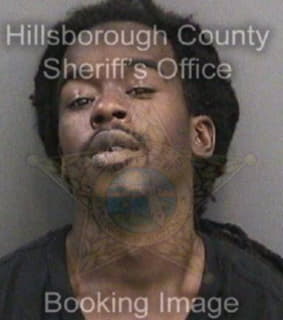 Andrews Taeshod - Hillsborough County, Florida 