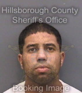 Ortiz Eloy - Hillsborough County, Florida 